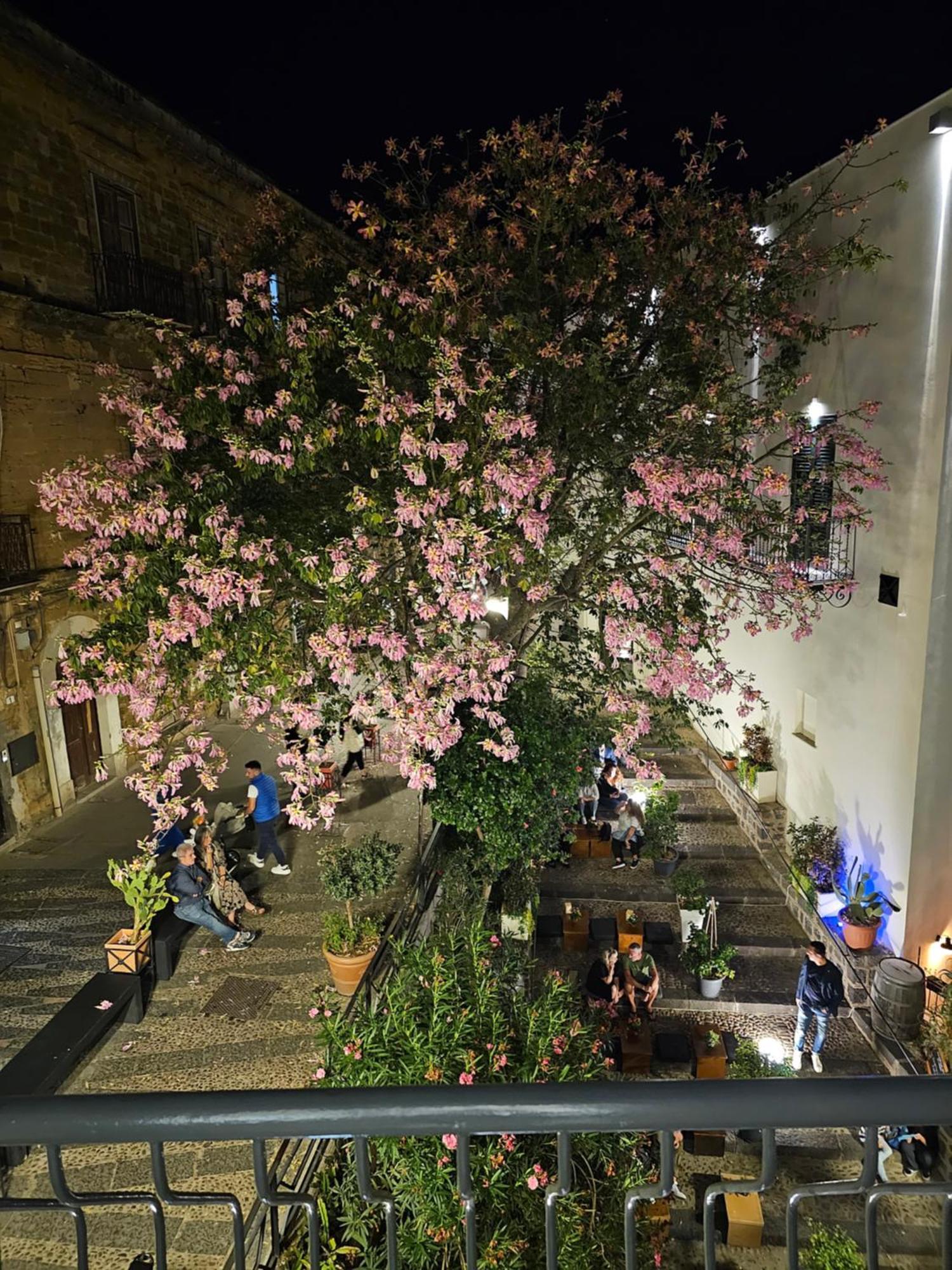 Villa Di Giorgi Apartments Center เชฟาลู ภายนอก รูปภาพ
